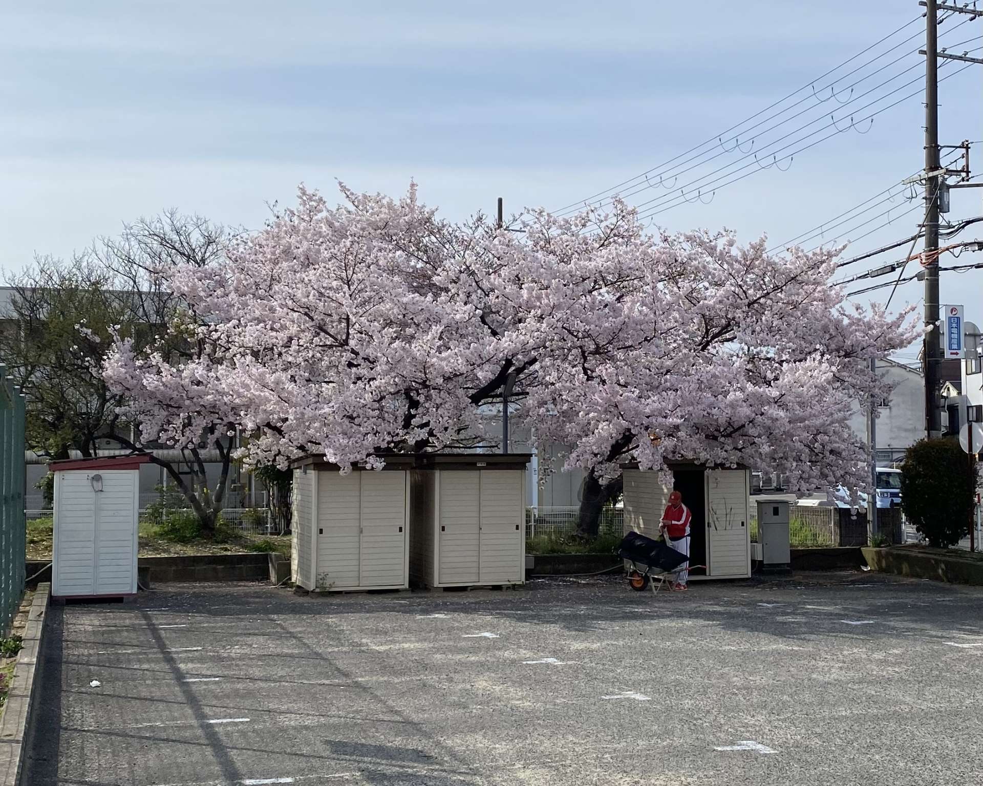 腰痛　膝痛　頭痛など身体のお悩みの方は　堺市　整体　カイロプラクティック　小川カイロ＆ヘルスケアジムへ！